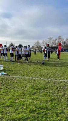 image de couverture de l'article