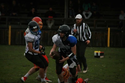 image de couverture de l'article