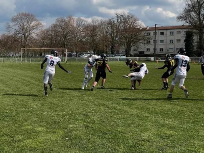 image de couverture de l'article