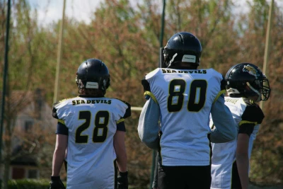 image de couverture de l'article